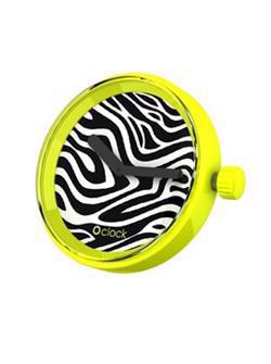 Image of O'Clock Zebra ur*